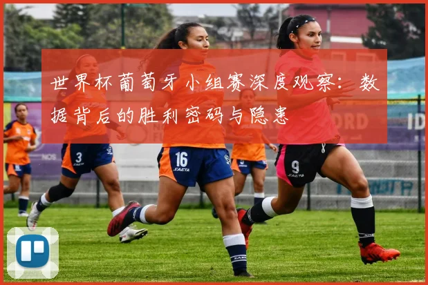 世界杯葡萄牙小组赛深度观察：数据背后的胜利密码与隐患