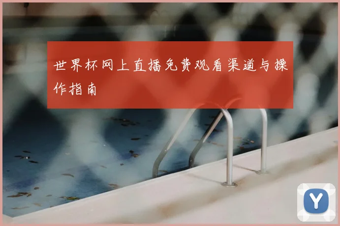 世界杯网上直播免费观看渠道与操作指南
