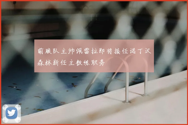 前狼队主帅佩雷拉即将接任诺丁汉森林新任主教练职务