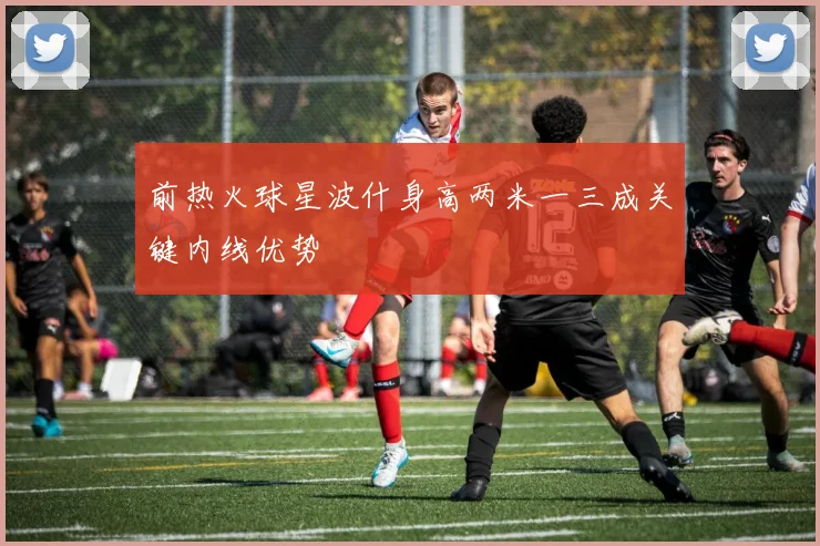 前热火球星波什身高两米一三成关键内线优势