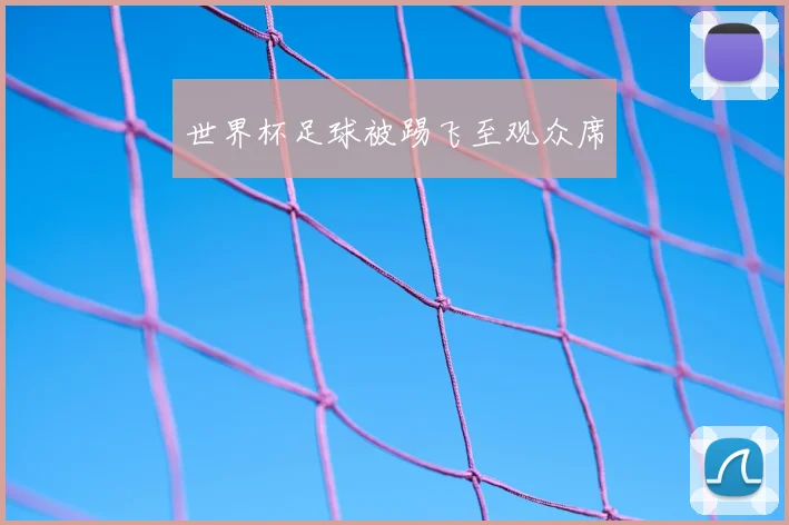 世界杯足球被踢飞至观众席