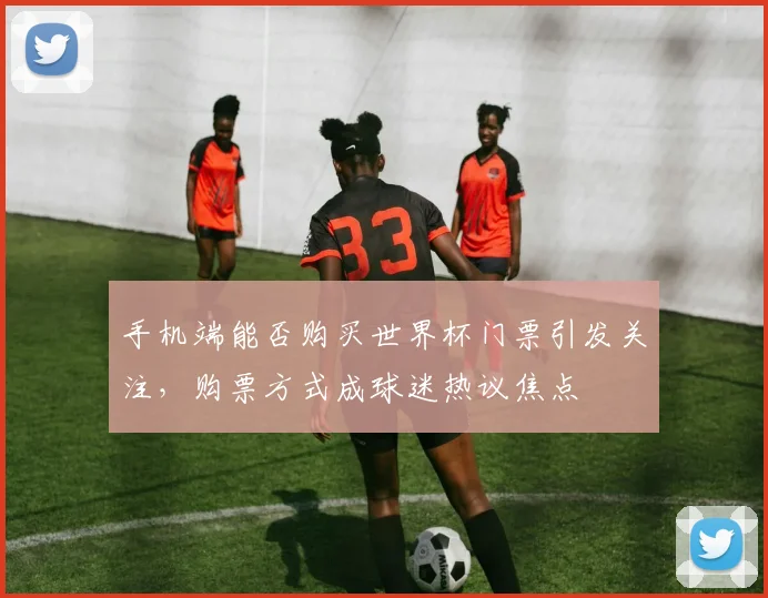 手机端能否购买世界杯门票引发关注，购票方式成球迷热议焦点