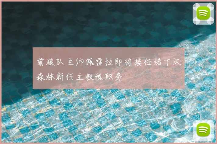 前狼队主帅佩雷拉即将接任诺丁汉森林新任主教练职务