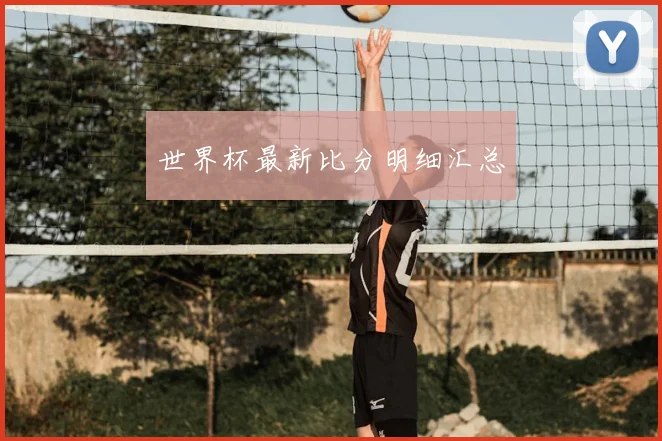 世界杯最新比分明细汇总