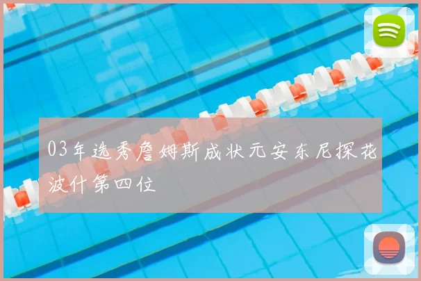 03年选秀詹姆斯成状元安东尼探花波什第四位